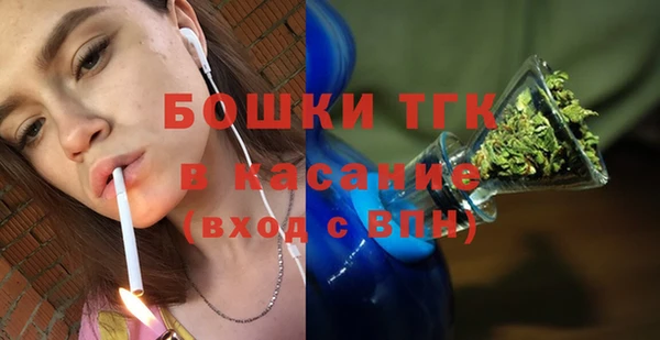 прущий лед Бородино