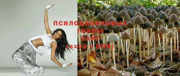 MDMA Premium VHQ Бронницы
