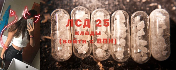 прущий лед Бородино