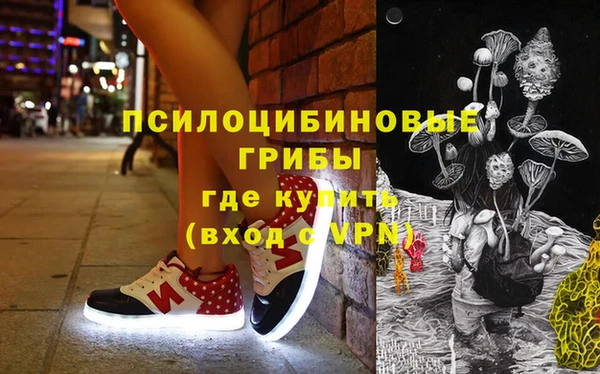 прущий лед Бородино
